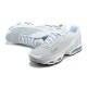 Sports Shoes Nike Air Max Plus 3 (M) Grey White CK5178-143