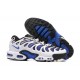 Sports Shoes Nike Air Max Plus Drift (M) White Blue and Black