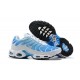 Sports Shoes Nike Air Max Plus Tn (M) Blue White 852630-411