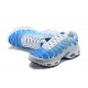 Sports Shoes Nike Air Max Plus Tn (M) Blue White 852630-411