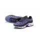 Sports Shoes Nike Air Max Plus Tn (M) Purple Black CD0609-024