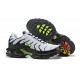 Sports Shoes Nike Air Max Plus Tn (M) QS White Green AJ2013-100 