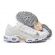 Sports Shoes Nike Air Max Terrascape Plus (M) White DN4590-100