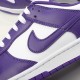 Nike Dunk Low Court Purple DD1391-104 Purple Nike Dunk Rep